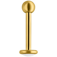 Kultainen titaani-labret-piercing valkoisella taustalla
