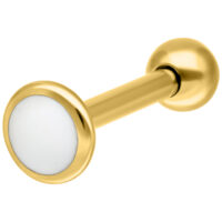 Kultainen titaani labret valkoisella levyllä valkoisella taustalla