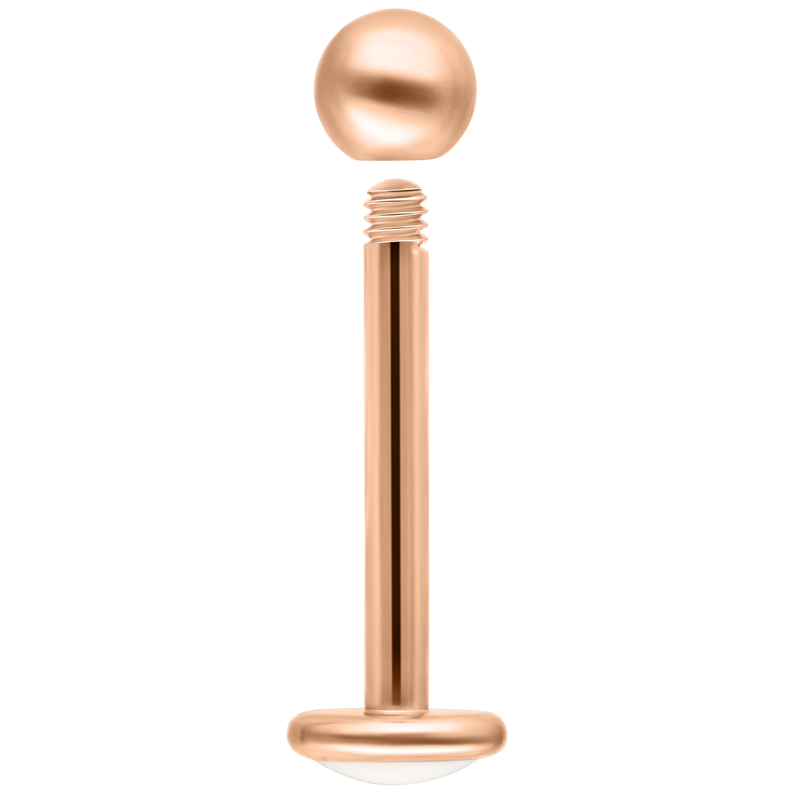 Labret-lävistys titaanista ruusukullassa ulkokierteellä, pituus 7,0 mm
