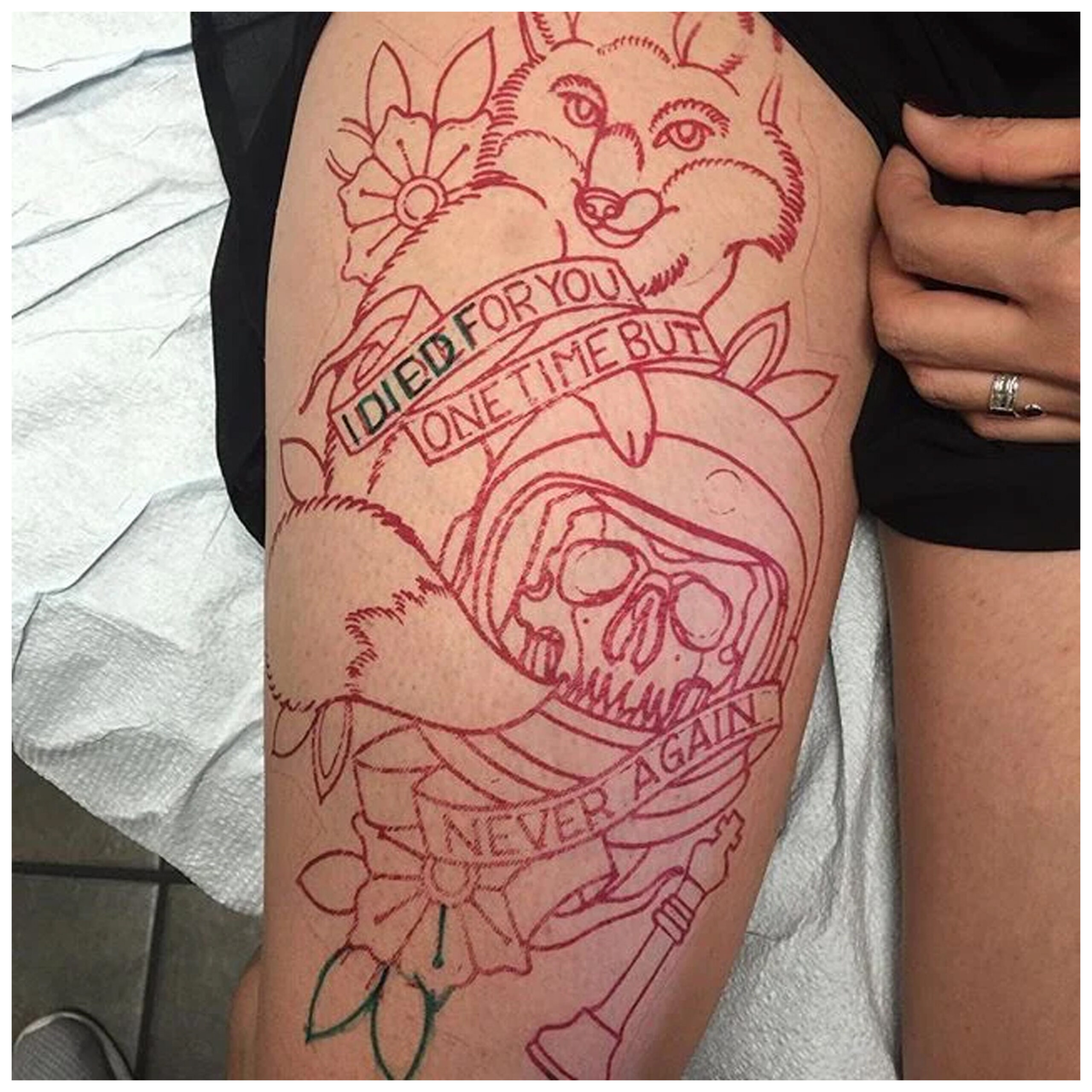 Tatuointisapluunapaperi S8 - 100 arkkia Punainen Wildcat-tatuointisapluunapaperi valkoisella taustalla