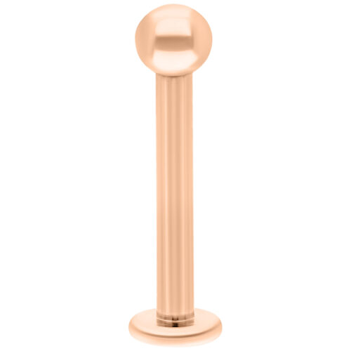 Ruusuhopeatitaani Labret, 7 mm pitkä ja 2,5 mm pallo valkoisella taustalla