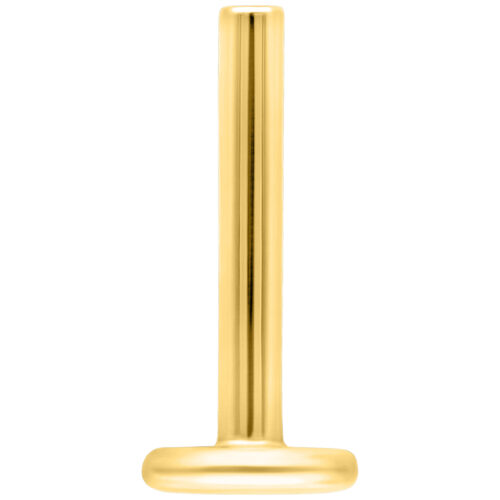 Kultainen titaaninen labret, 1,2 mm paksuus ja 5,0 mm pituus valkoisella taustalla