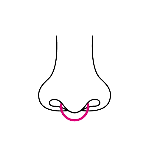 Septum-lävistykset ja parhaat lävistyskorut septum-lävistyksiin.