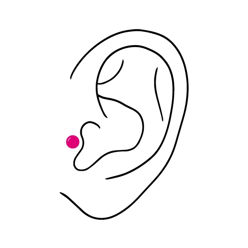 Tragus-lävistykset ja parhaat lävistyskorut tragus-lävistyksiin.