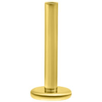 Wildcat® - 14K Perfect Fit Labret (varsi / kantaosa)