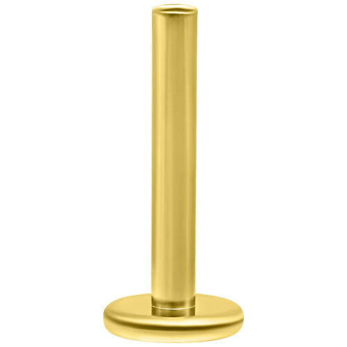 Kultainen 14K labret Perfect Fit, pituus 8,0 mm, valkoisella taustalla