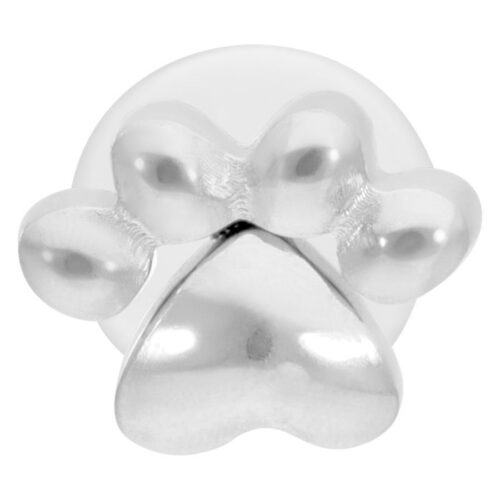 Hopeinen labret tassukuviolla valkoisella taustalla