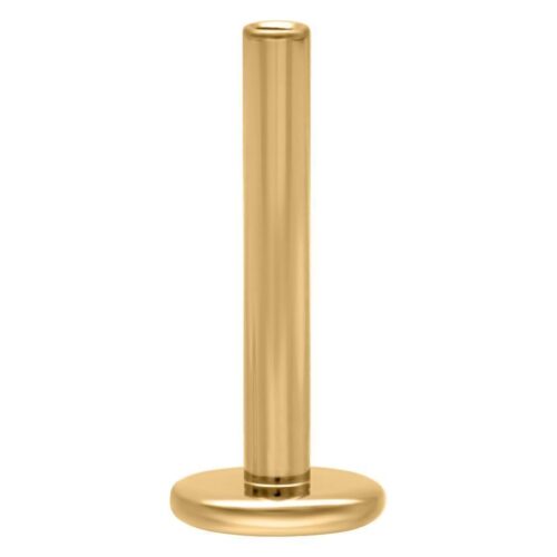 Kultainen titaaninen labret stem sisäkierteellä, 1,2 mm paksuus, 5 mm pituus valkoisella taustalla
