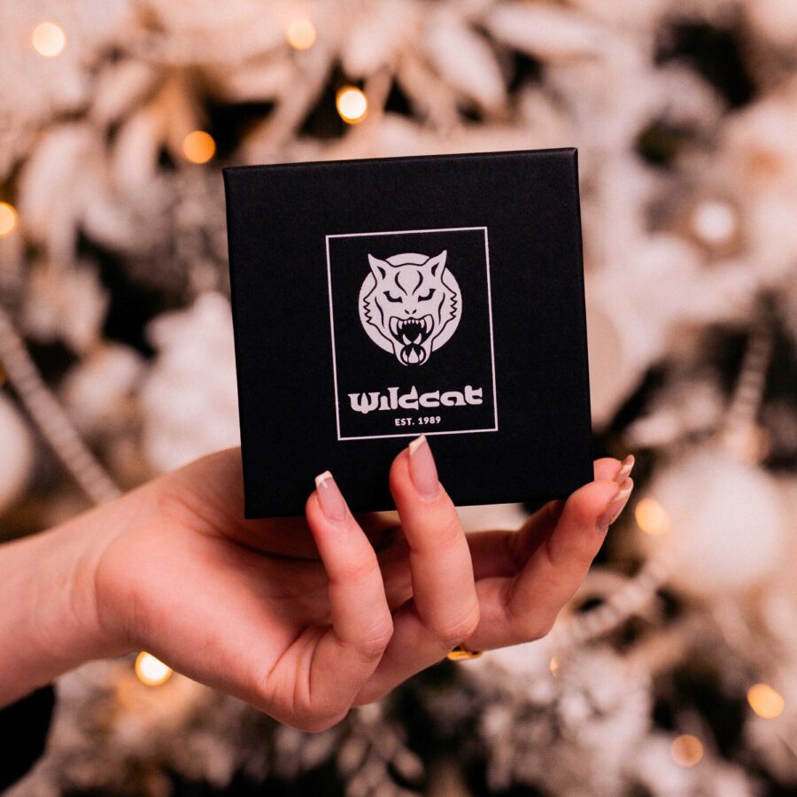 Musta Wildcat-lahjarasia, jossa on opali kaulakoru ja hopeiset korvarenkaat, pidetään kädessä epätarkkaa taustaa vasten