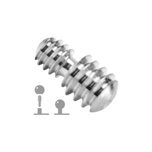 Thread Adapter<!--63f8afb6494e0-->