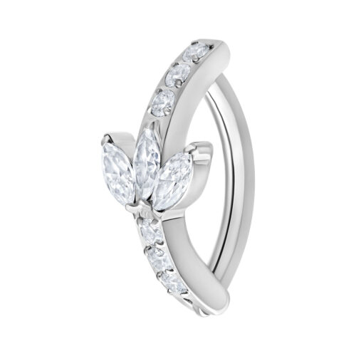 Hopeinen napa clicker kirkkailla kristalleilla valkoisella taustalla