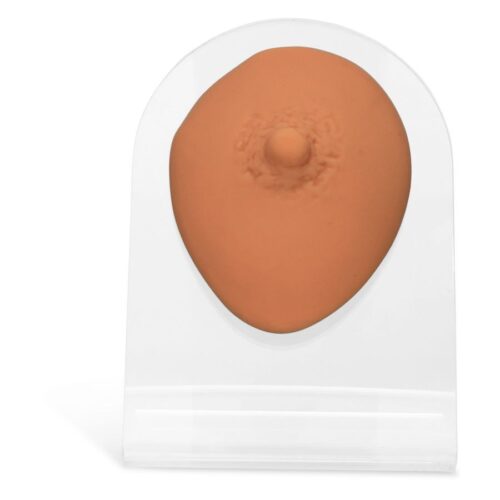 Beige silikonitutti kirkkaalla alustalla, unisex