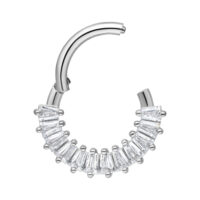 Euphoria septum-clicker kirurginteräksestä kristalleilla Hopeinen septum-clicker kirkkailla kristalleilla valkoisella taustalla