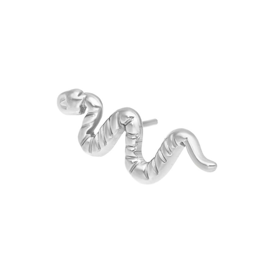 Hopeinen Snake-lisäosa titaani Grad 23 valkoisella taustalla