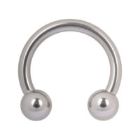 Hopeinen Circular Barbell titaanista, jossa kaksi palloa valkoisella taustalla