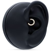 18K kultainen septum-klickeri kristalleilla 18K kultainen septum-rengas kirkkailla kristalleilla mustalla korvamallilla