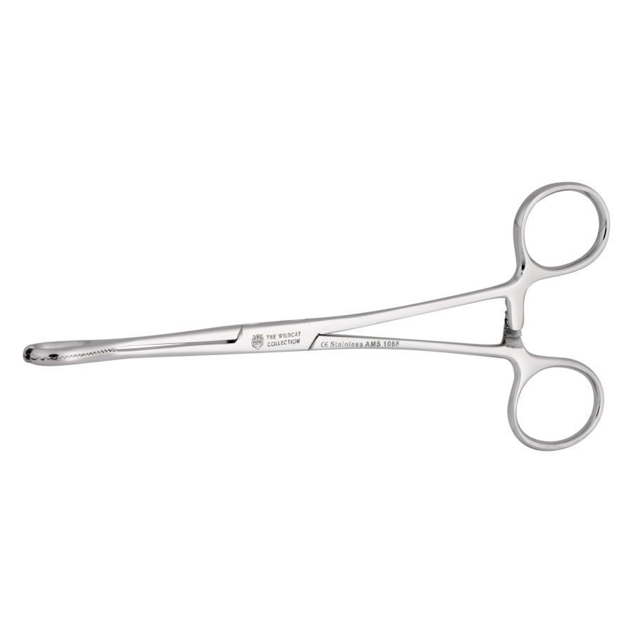 Wildcat® - Open End Sponge Pinsetti 6mm Hopeinen Open End Sponge Pinsetti Wildcatilta, 6 mm sisähalkaisija, valkoisella taustalla