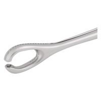 Wildcat Open End Sponge Pihdit 6mm Hopeinen Open End Sponge Pihdit 6mm sisähalkaisijalla valkoisella taustalla