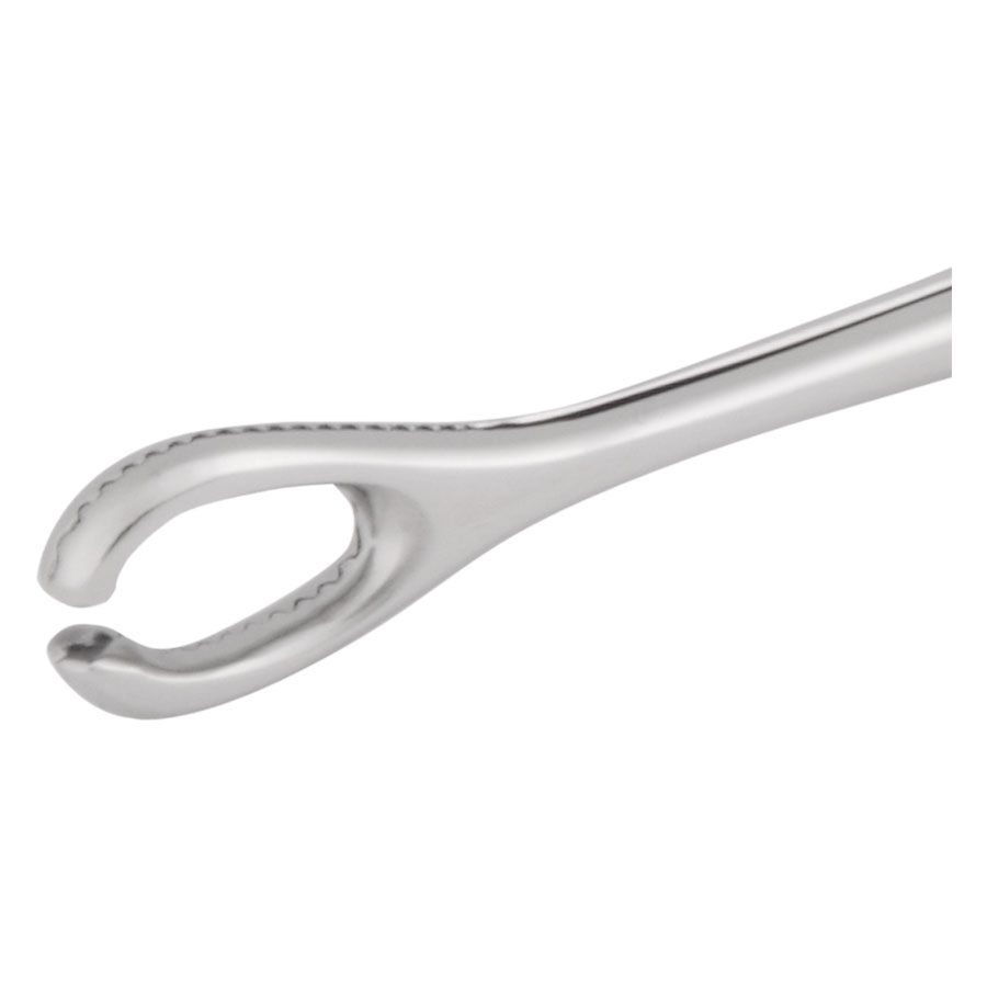 Wildcat Open End Sponge Pihdit 6mm Hopeinen Open End Sponge Pihdit 6mm sisähalkaisijalla valkoisella taustalla