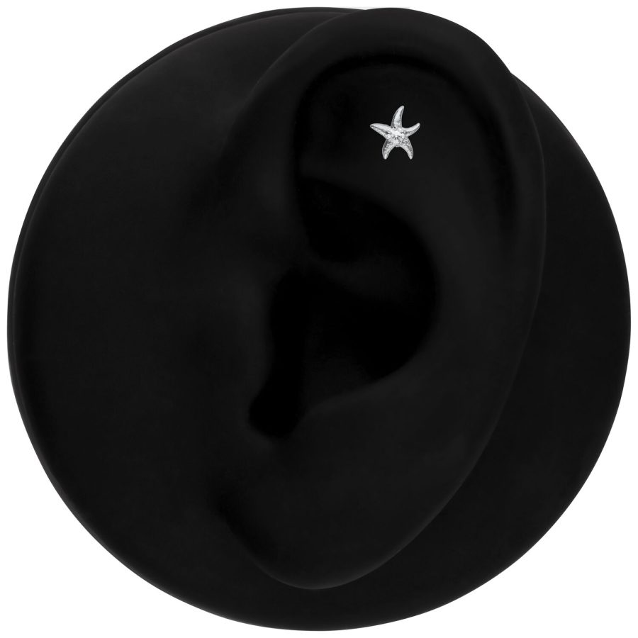 Musta korvamalli hopeisella meritähti-piercinglisäosalla