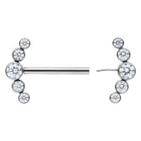 Hopeinen Penta Kristalli Barbell 14 mm Hopeinen barbell, jossa viisi kirkasta kristallia valkoisella taustalla