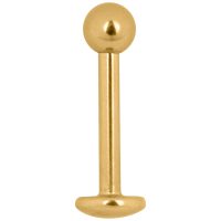 Kultainen titaani Labret Stud -koru 1,2 mm Kultainen Labret Stud -koru titaanista ulkokierteellä valkoisella taustalla