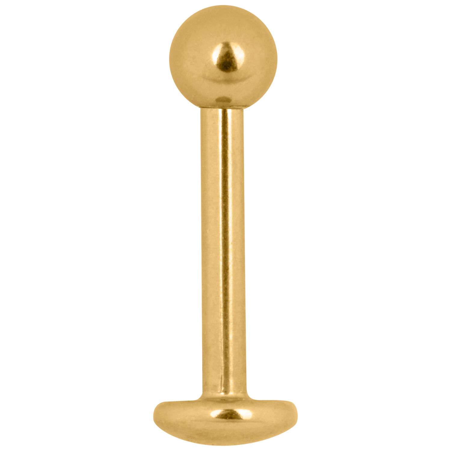 Kultainen titaani Labret Stud -koru 1,2 mm Kultainen Labret Stud -koru titaanista ulkokierteellä valkoisella taustalla